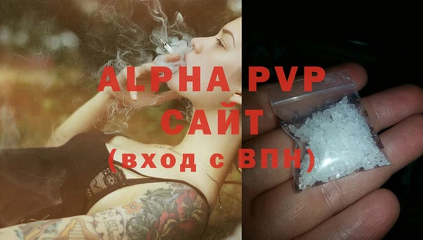 PSILOCYBIN Инта