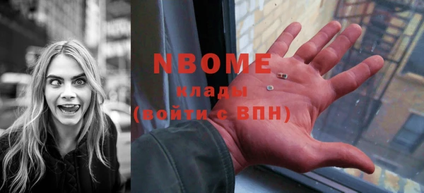 дмт Инсар