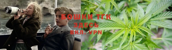 PSILOCYBIN Инта