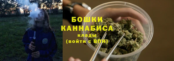 дмт Инсар