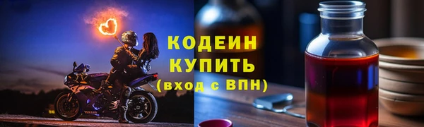 дмт Инсар