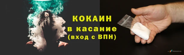 дмт Инсар