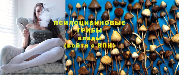 дмт Инсар