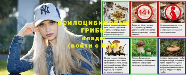 PSILOCYBIN Инта