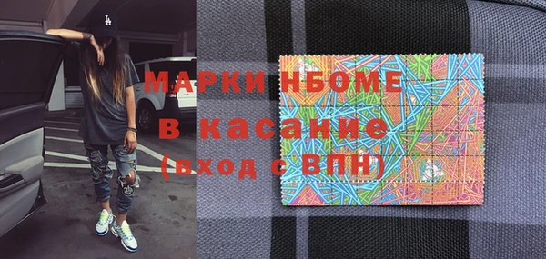 дмт Инсар
